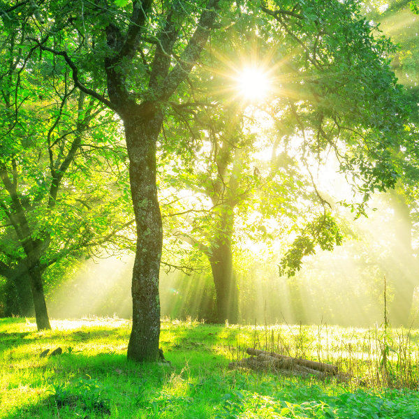 Frequently Asked Questions New Hope Counseling Louisville